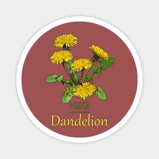 Herb Dandelion-Dandelion-Herb plant -Spring flower -Beautiful Herb flowers Magnet